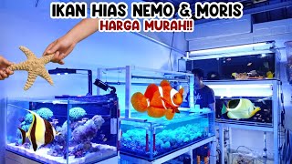 CEK‼️UPDATE HARGA IKAN HIAS LAUT || HARGA MURAH || KIOS IKAN HIAS JATINEGARA‼️