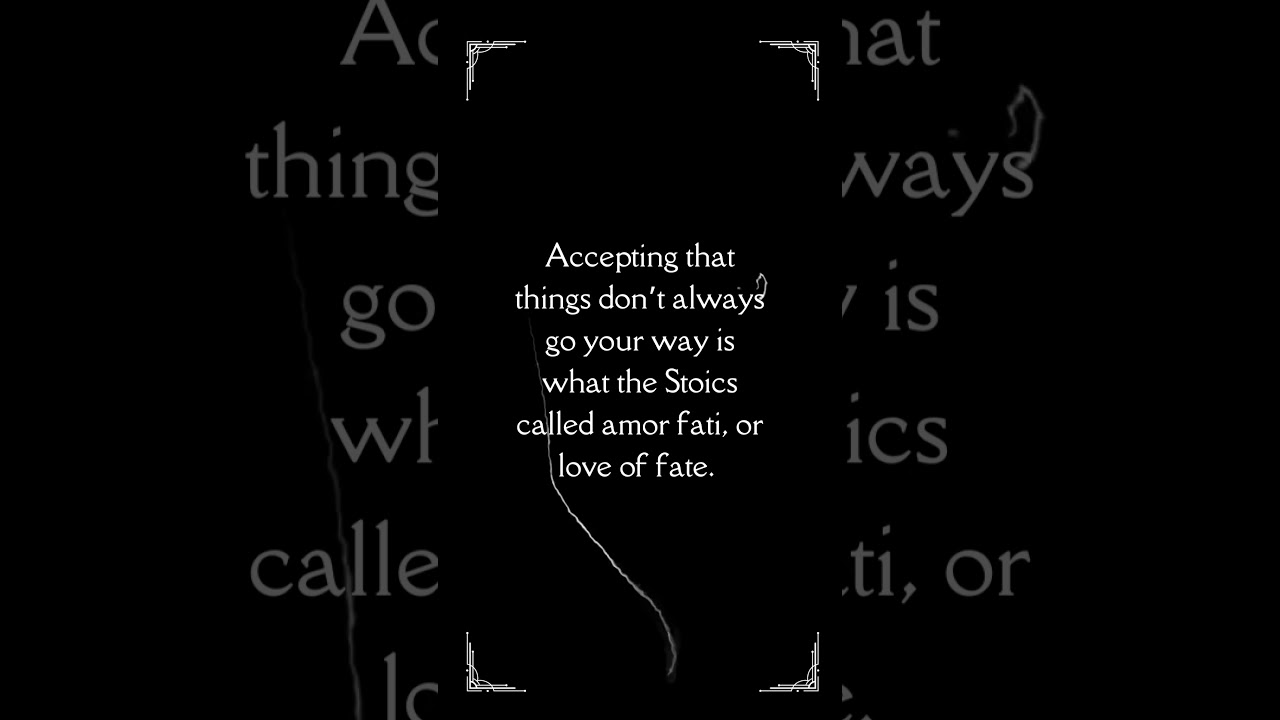 The Journey Is The Reward