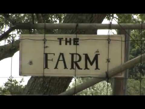 Video thumbnail: Farm to Table
