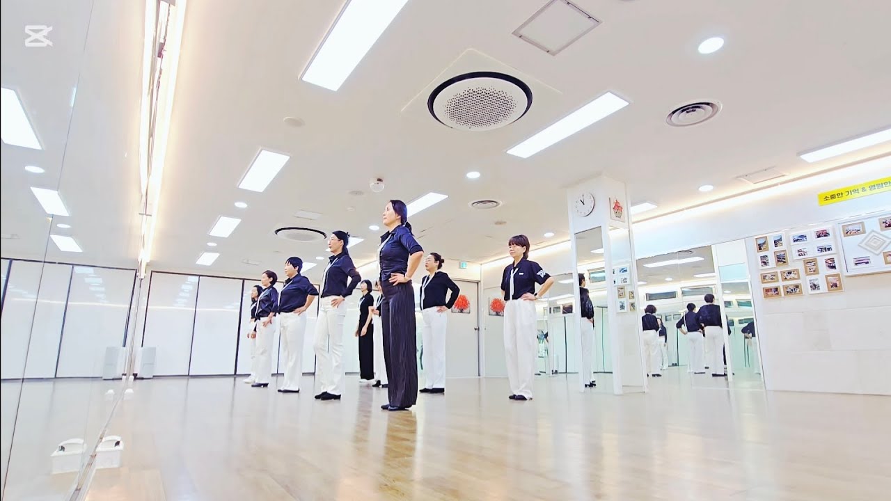 Vegas vibe (VE) LINEDANCE/ Beginner/ 베가스 바이브 라인댄스/ 주원라인댄스 