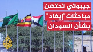 تستبق قمة إيغاد.. ثلاثية لبحث الأزمة السودانية في جيبوتي