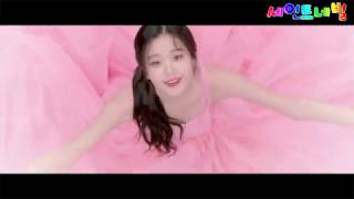 IZ*ONE(아이즈원) [When IZ your BLOOMing moment?] trailer 편집영상