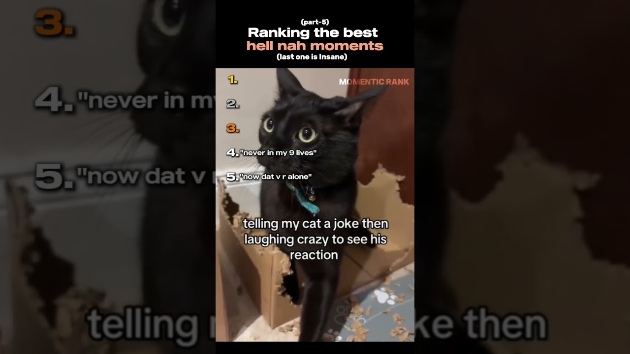 Рейтинг лучших моментов «Ад нет»