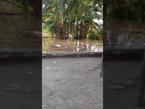 Mera gaon meri dharohar essay in english image