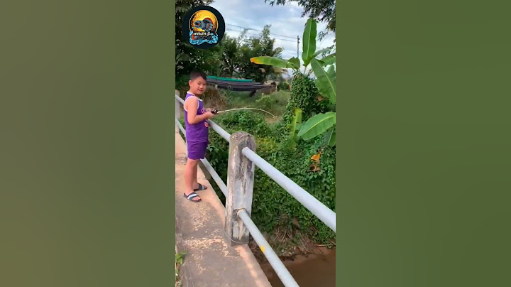 #shorts #fishing #ตกปลา