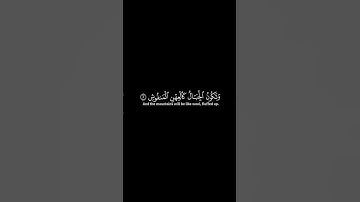 سورة القارعة [1-7] | محمود خليل الحصري