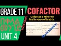 Cofactor &amp; Minor 2 x 2 | 3 x 3 Matrix | Grade 11 - Unit 4 | Properties of Determinant