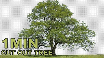 Best Techniques To Cut Out Trees In 1 Minute | Bled if Photoshop Tutorial