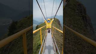 Flying Cat In A Chicken Suit Soars Down The Mountain
