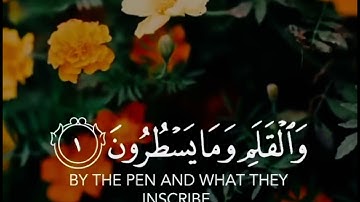 ارح قلبك | القارئ سالم الرويلي | ما تيسر من سورة القلم | تلاوة متميزة وهادئة | HD