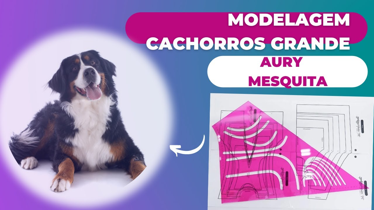 MODELAGEM PET/ QUER MODELAR PARA CACHORROS DE GRANDE PORTE?