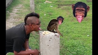 Most Vines Compilation_Very Funny Videos 2019_Episode 32_KC Ki Vines