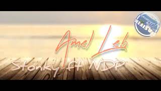 Stonky ft NDP - Amel Leb (Reggae Pasifik)