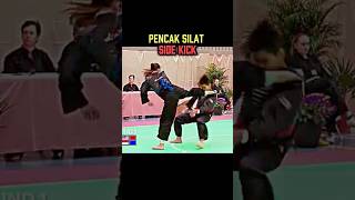 Side Kick Tutorial | Powerful Martial Arts Kick for Self Defence 🥋