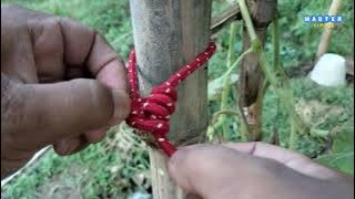 Pull Knot | Master Simpul