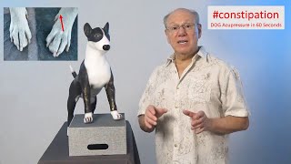 #constipation - DOG Acupressure in 60 Seconds