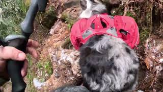 Pooch Turtle Falls, Rock Bridge and Creation Falls from Wildcat Out And Back