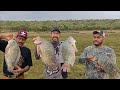 pesca y fritangona de tilapias monstruo en el puente con varios amigos