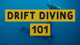 Beginners Guide To Drift Diving Maldives Style with Prodivers Maldives