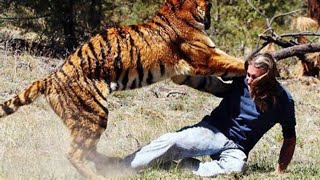 What To Do When People Attack You?