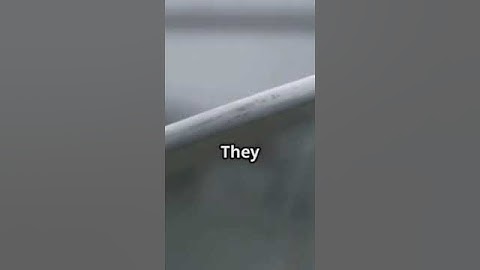 About Transonic Flow | #TransonicFlow #Aerodynamics #SupersonicFlight #TransonicSpeed #MachNumber