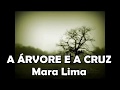 A Árvore e a Cruz - Playback com letra