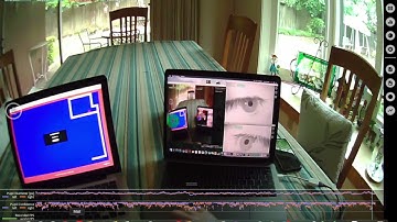 Pupil Core 2 with Computer