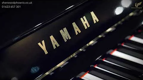 Yamaha U1 Black Upright Piano 846868 | Comparison Demonstration Sherwood Phoenix