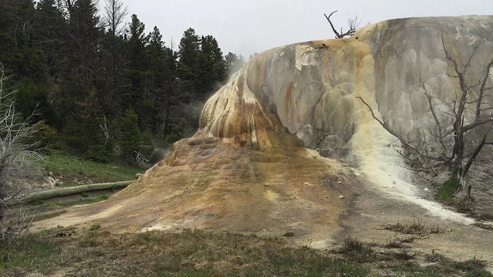 Orange Mound Spring, Yellowstone.