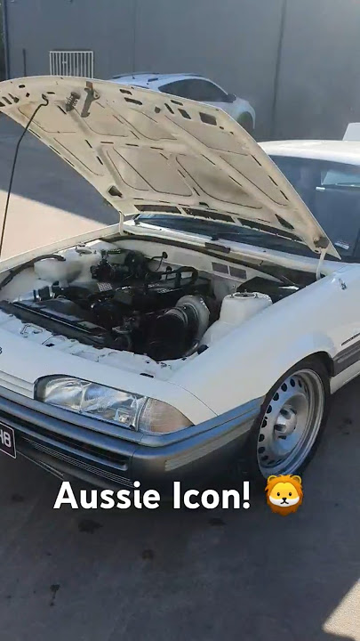 VL Turbo - An Australian Icon! 🦁