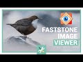 FastStone Image Viewer : la meilleure visionneuse photo Windows ?