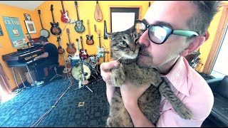 Video thumbnail of ""The Love Cats" by The Cure - Performed by Danny Michel & Super Spreader"