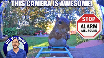 NETVUE Birdfy AI - Smart Bird Feeder Camera, Bird Watching Camera