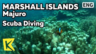 【K】Marshall Islands Travel-Majuro[마셜 여행-마주로]산호 군락 스쿠버다이빙/Scuba Diving/Sea/Coral/Clownfish