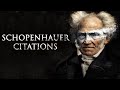 Schopenhauer  lhomme calme dans les revers  citations