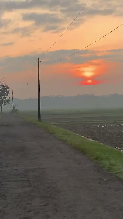 Sunrise pagi ini 🌤 #shorts #sunrise #pedesaan #sawah
