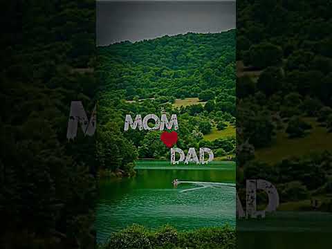 mom dad #shorts #short #momdad #mom #dad #love #loveyou #lovestatus #loveyoumomdad #status #mom