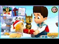 Paw Patrol Academy - Big Update Chase&#39;s Gift &amp; Fun Learning English Gift 汪汪隊立大功學院-阿奇的新禮物-有趣學習英語:禮物