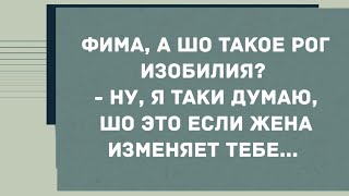 Фима, а шо такое, рог изобилия? Смех! Юмор! Позитив!