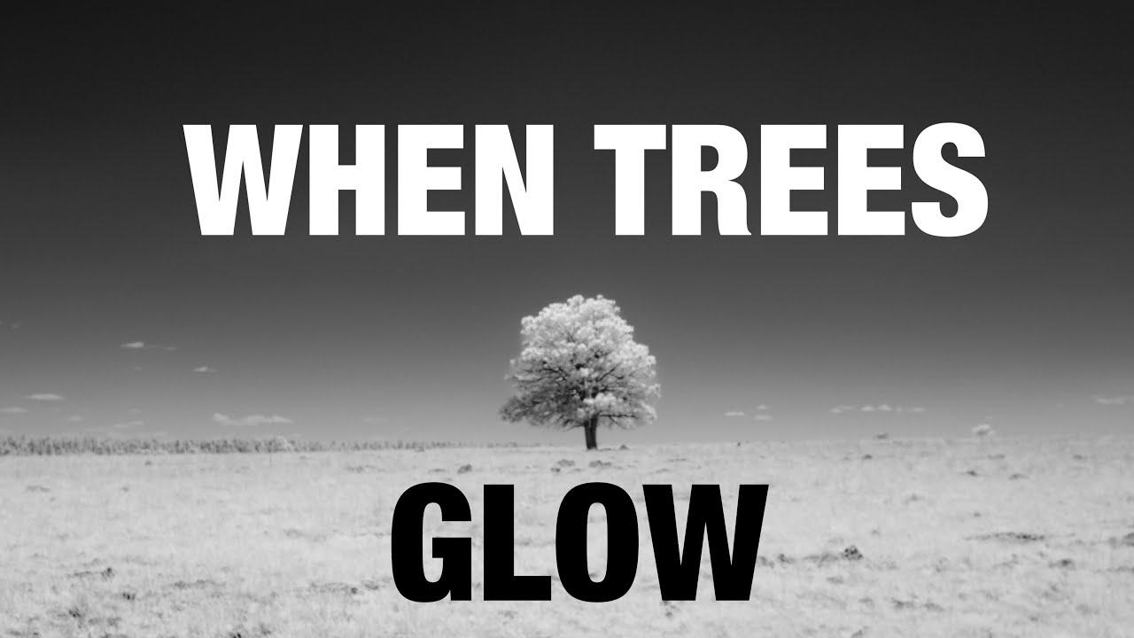 Minimalist Landscape Photoshoot - Infrared Photography