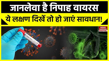 Nipah Virus Symptoms : जानलेवा है निपाह वायरस, अगर दिखें ये लक्षण तो हो जाएं सावधान!