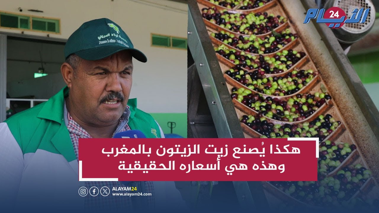 من الحبة للزيت… هكذا يُصنع زيت الزيتون بمنطقة ابريكشة نواحي وزان وهذه هي أسعاره الحقيقية