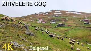 Yayla Yollari Trabzon