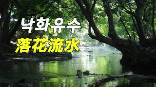 남인수 - 낙화유수