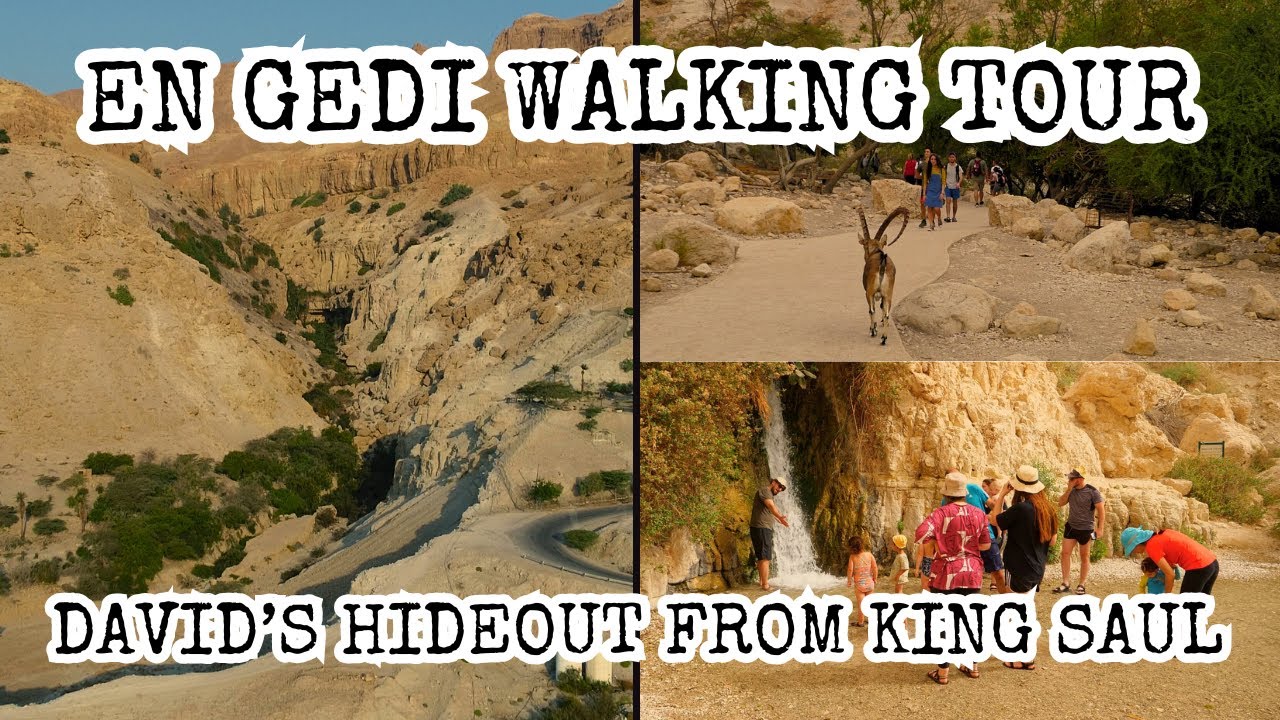 En Gedi Israel Walking Tour: David's Hideout from King Saul! Amazing Desert Oasis by the Dead Sea.