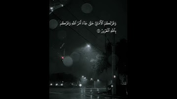 طارق محمد سورة الحديد