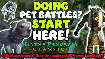 Everything from basic to advanced! Pet Battles in MoP Classic!