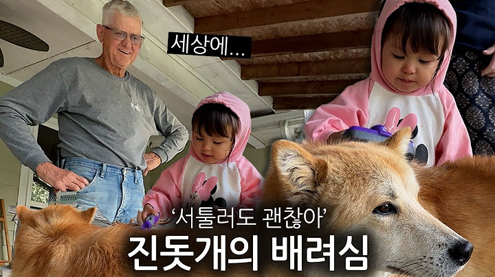 체리가 진돗개 털을 빗어주는 모습에 미국 할아버지가 크게 감탄한 이유