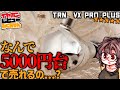 [5000円]TRN VX Pro+ レビュー! この価格で9ドライバ！ベリリウムメッキ主体の新スタイルサウンドに。