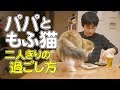 甘えんぼ猫とパパを約2日間に渡り密着撮影、そこには普段見られなかった猫の姿が！男とオスのラブありバトルありの長編ドキュメンタリー！